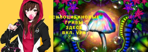 спиды Армянск