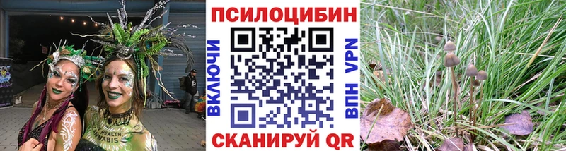 Псилоцибиновые грибы ЛСД  хочу   кракен ONION  даркнет как зайти  Кяхта 